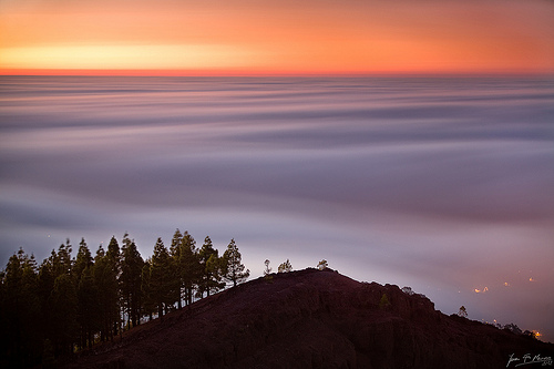 Sarromaa slakter nordmenn i Syden som Harry!