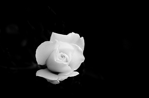 Livet - planlegger du langt fram?