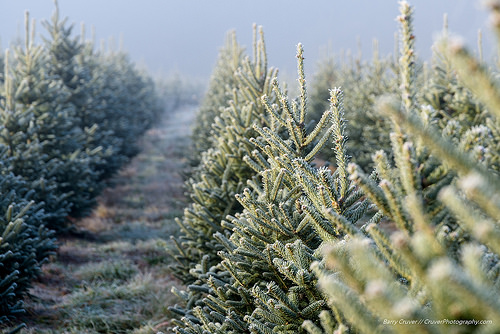 NÅ bør du handle julegaver!